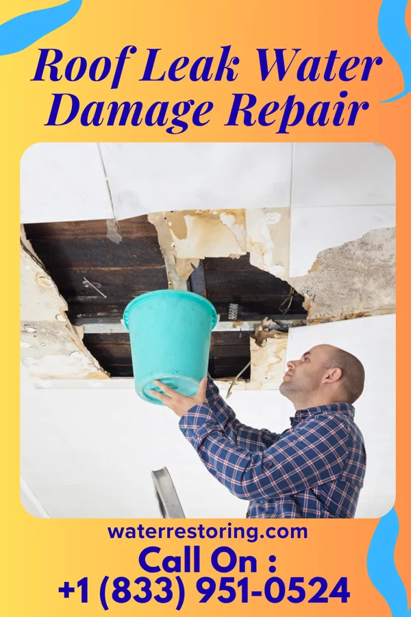 Roof Leak Water Damage Repair in Cliff Village, MO